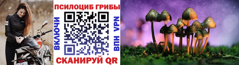 Псилоцибиновые грибы MAGIC MUSHROOMS  omg   Тында 