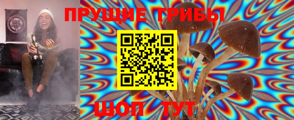 Галлюциногенные грибы Cubensis Тында