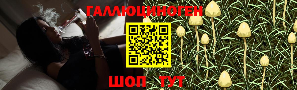 Тында  Псилоцибиновые грибы Magic Shrooms  наркота  Вход с VPN 
